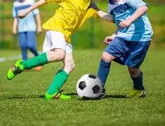 体育官网版,下载,产品,开云体育,开云体育官网,开云体育app,开云体育平台,KAIYUN,SPORTS,kaiyun登录入口